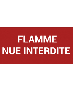 Pictogramme FLAMME NUE INTERDITE