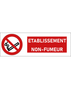 Pictogramme Établissement non-fumeur
