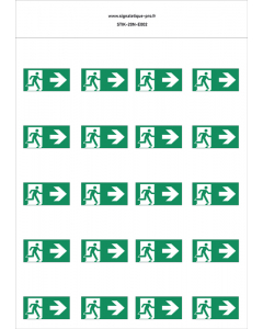Panneau Sortie de secours à droite_20N