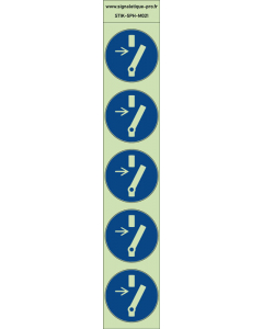  Autocollants photoluminescents Débrancher avant d'effectuer une activité de maintenance ou une réparation 5Ph