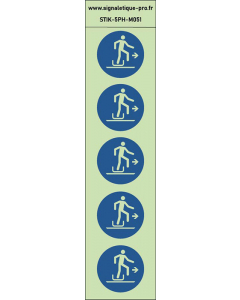 Autocollants photoluminescents descendre à droite de la luge  5Ph