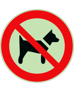 Panneau interdit aux chiens photoluminescent