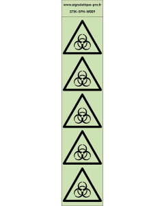 Autocollants photoluminescents Risque biologique 5Ph
