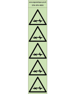 Autocollants photoluminescents fil de fer barbelé 5Ph