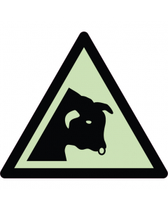 Panneau de danger taureau photoluminescent