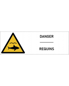 Signalétique danger requins