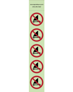 Autocollants photoluminescents  Pratique du char à voile interdite  - P067  norme iso 7010 – par Lot de 5
