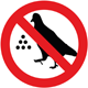Interdiction de nourrir les oiseaux