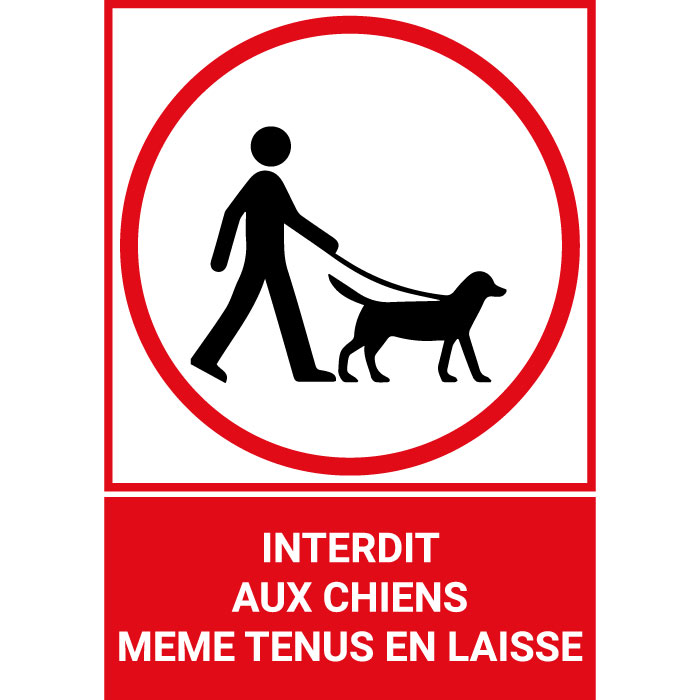 Pictogramme Défense d'amener des chiens même tenus en laisse